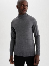 Водолазка DeFacto модель R1127AZ-GR210 Фото