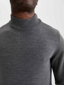 Водолазка DeFacto модель R1127AZ-GR210 Фото