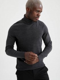 Водолазка DeFacto модель R1124AZ-AR4 Фото