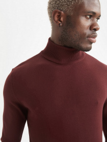 Водолазка DeFacto модель R1124AZ-BR50 Фото