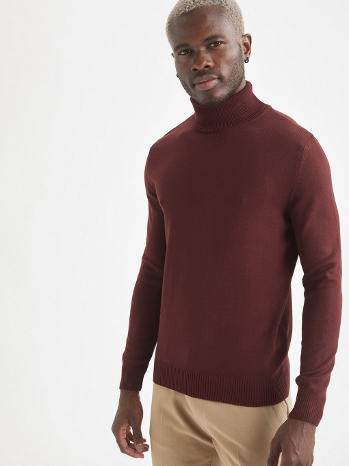 Водолазка DeFacto модель R1124AZ-BR50 Фото