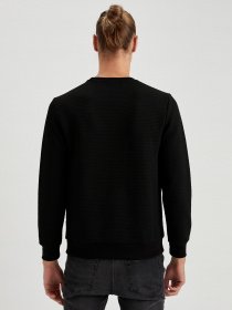 Свитшот DeFacto модель R3408AZ-BK27 Фото