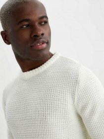 Джемпер DeFacto модель N9902AZ-ER65 Фото