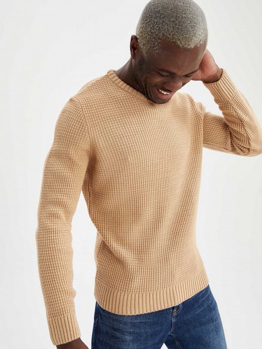 Джемпер DeFacto модель N9902AZ-BG300 Фото