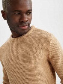 Джемпер DeFacto модель N9902AZ-BG300 Джемпер DeFacto модель N9902AZ-BG300 Фото