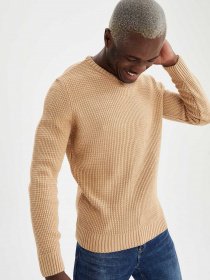 Джемпер DeFacto модель N9902AZ-BG300 Джемпер DeFacto модель N9902AZ-BG300 Фото