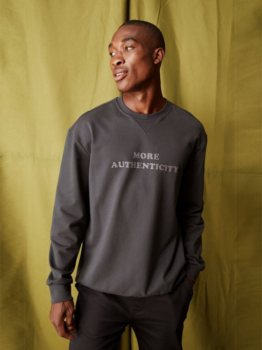 Світшот DeFacto модель V3860AZ-AR63 Фото