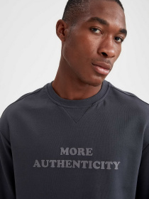 Свитшот DeFacto модель V3860AZ-AR63 Свитшот DeFacto модель V3860AZ-AR63 Фото