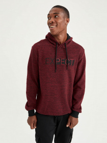 Худи DeFacto модель S7878AZ-BR171 Фото