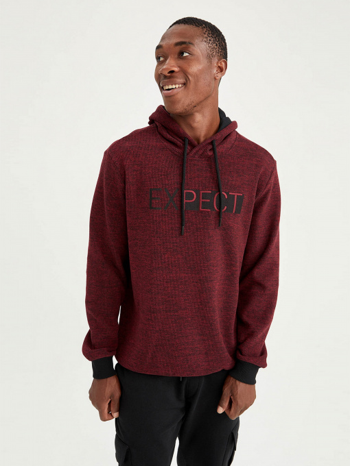 Худи DeFacto модель S7878AZ-BR171 Фото