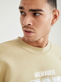 Свитшот DeFacto модель U9868AZ-ER168 Свитшот DeFacto модель U9868AZ-ER168 Фото