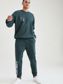 Штаны спортивные DeFacto модель U9844AZ-GN536 Фото