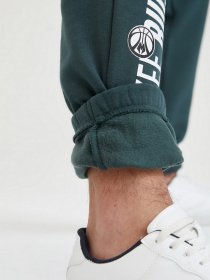 Спортивні штани DeFacto модель U9844AZ-GN536 Фото