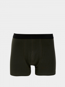 Набор трусов DeFacto модель S4302AZ-BR194 Фото