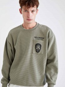 Свитшот DeFacto модель V5922AZ-TR430 Фото