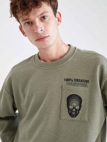 Свитшот DeFacto модель V5922AZ-TR430 Фото