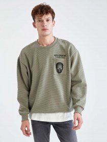 Свитшот DeFacto модель V5922AZ-TR430 Фото