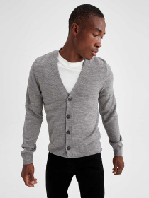 Кардиган DeFacto модель R1329AZ-GR210 Фото