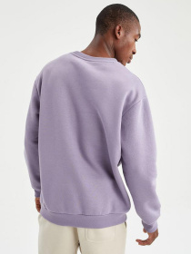 Свитшот DeFacto модель T5139AZ-PR315 Фото