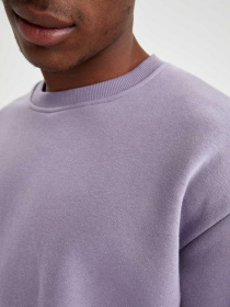 Свитшот DeFacto модель T5139AZ-PR315 Фото