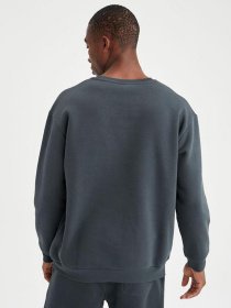 Свитшот DeFacto модель T5139AZ-AR184 Фото