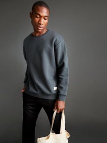 Свитшот DeFacto модель T5139AZ-AR184 Фото