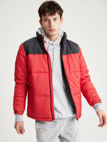 Зимова куртка DeFacto модель V1098AZ-RD296 Фото