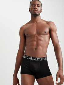 Трусы DeFacto модель W2098AZ-BK27 Фото