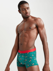 Набор трусов DeFacto модель W2810AZ-GN651 Фото