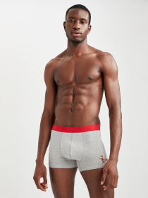 Набор трусов DeFacto модель W2810AZ-GN651 Фото