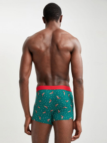 Набор трусов DeFacto модель W2810AZ-GN651 Фото