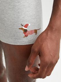 Набор трусов DeFacto модель W2810AZ-GN651 Фото