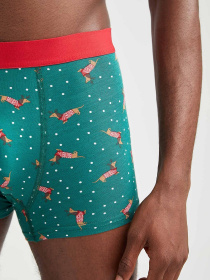 Набор трусов DeFacto модель W2810AZ-GN651 Фото