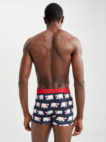 Трусы DeFacto модель W7968AZ-NV31 Фото