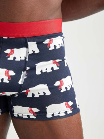 Трусы DeFacto модель W7968AZ-NV31 Фото