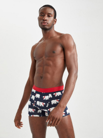 Трусы DeFacto модель W7968AZ-NV31 Фото