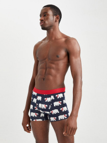 Трусы DeFacto модель W7968AZ-NV31 Фото