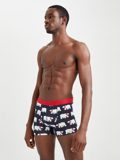 Труси DeFacto модель W7968AZ-NV31 Фото