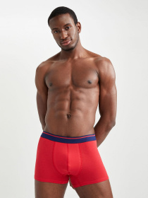 Набір трусів DeFacto модель W2848AZ-RD286 Фото