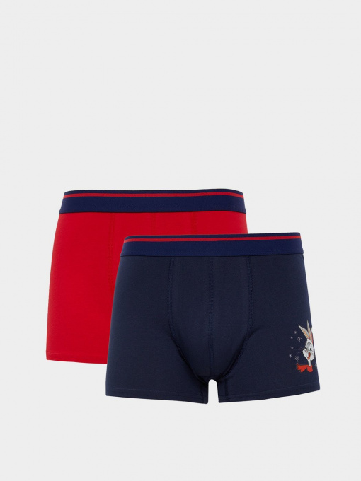 Набір трусів DeFacto модель W2848AZ-RD286 Фото