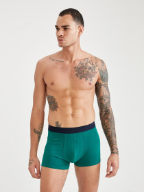 Труси DeFacto модель U7325AZ-TR400 Фото