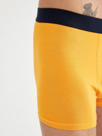 Труси DeFacto модель U7325AZ-TR400 Фото