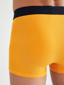 Труси DeFacto модель U7325AZ-TR400 Фото