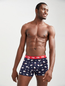 Набор трусов DeFacto модель W2812AZ-NV31 Фото