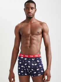 Набор трусов DeFacto модель W2812AZ-NV31 Фото