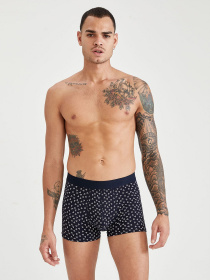 Трусы DeFacto модель S9398AZ-NV135 Фото