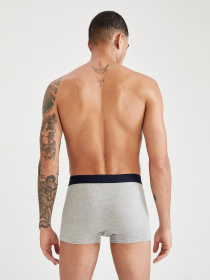 Труси DeFacto модель S9398AZ-NV135 Фото