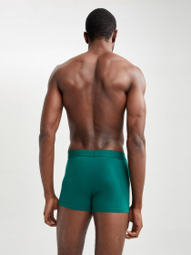 Набор трусов DeFacto модель W2849AZ-GN651 Фото