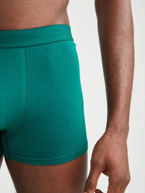 Набор трусов DeFacto модель W2849AZ-GN651 Фото