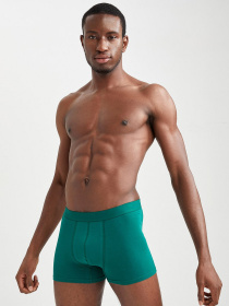 Набор трусов DeFacto модель W2849AZ-GN651 Фото